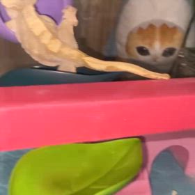 爬虫類ネタの画像