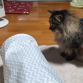 暇そうなのでの画像