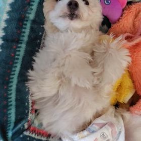 2025年8月24日日曜日の画像