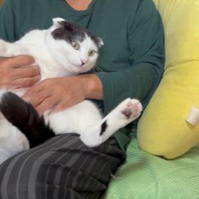 圧倒的な片想いの画像