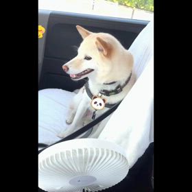 プチ夏休みの画像