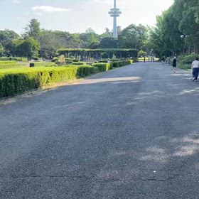 9/14 リレー選考会②の画像