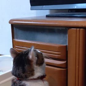 あちこち不調の画像