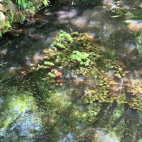 KIN60   黄色い太陽　赤い空歩く人　音8の画像