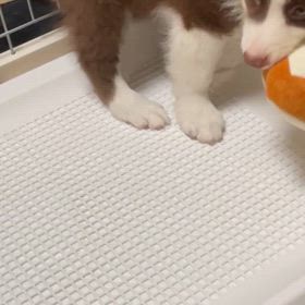 一歳の長男くんの画像