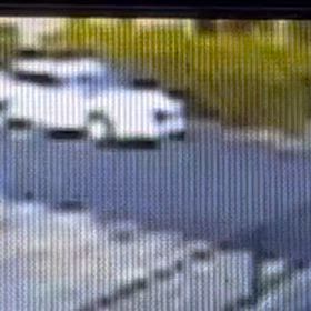 邪魔になってる！Σ('◉⌓◉’)の画像