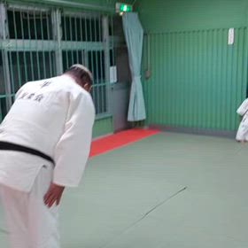 柔よく剛を制すの画像