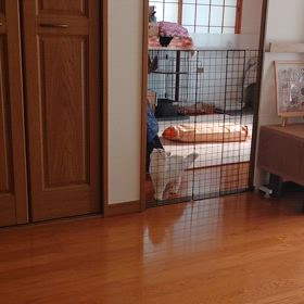 城門突破の画像