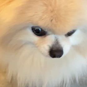 オヤツの力は凄い‼️の画像