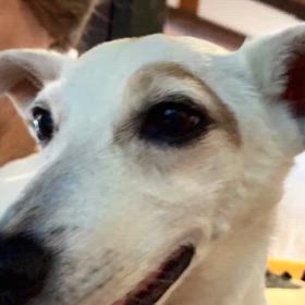 きょーは忙しいね‼️がんばろの画像