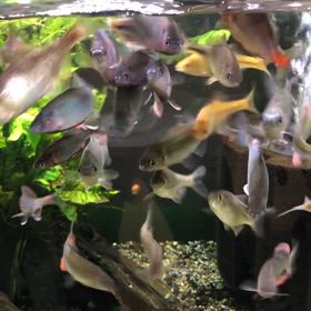 お昼休みの休憩室の画像