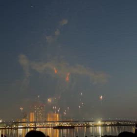 珍獣日記の画像