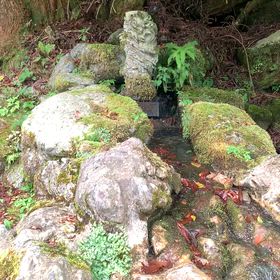 KIN212  黄色い人   赤い月   音4の画像