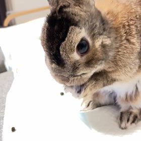 寝逃げした日＊線維筋痛症の重症日の画像