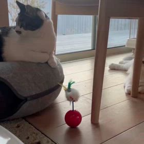 この頃の体調の画像