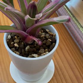 圧があり感じが悪い人の画像