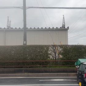 おはよう御座いますの画像