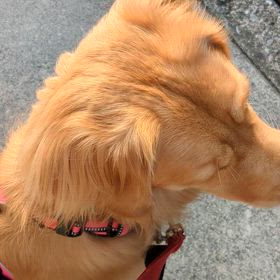 進歩‼️の画像