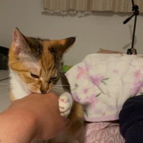 俺もお前もの画像