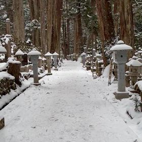 高野山奥の院までの道の画像