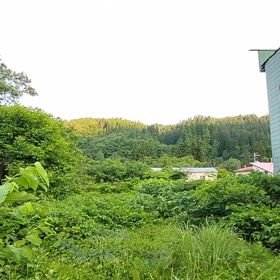 大阪万博への画像