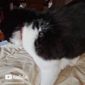 やんちゃ娘の画像