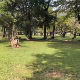 9/27 400mインターバル⑧の画像