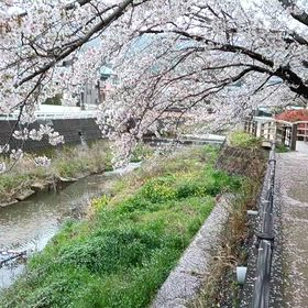 公開や反省したところで何も変わらないのは分かっているけどの画像