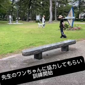 トレーニングDAYの画像