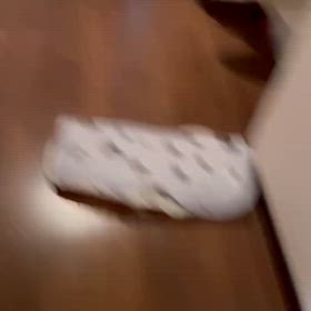 息子とルナのいちゃいちゃ動画が届いたの画像