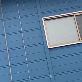 雪に振り回されたの画像