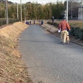 1/28坂ダッシュ（ゴール手前）②の画像