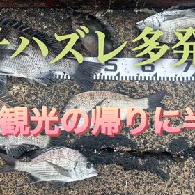 水温低下で針ハズレ多発・福島観光の帰りにの画像