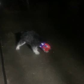 大好き！豆まき！の画像