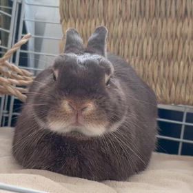 満足気なお顔とご不満なお顔の画像