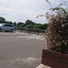 奥池公園の様子の画像