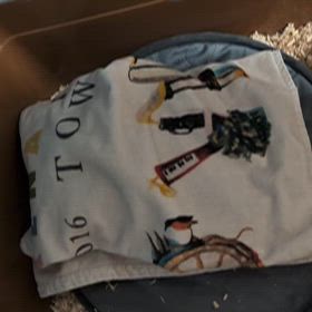 また早寝しなかったの画像