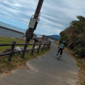 渥美半島一周ぐる輪サイクリング2024の画像