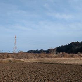 キハE130系の画像