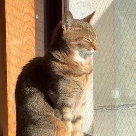 今日のちゃめさんの画像