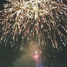 今年もまたの画像