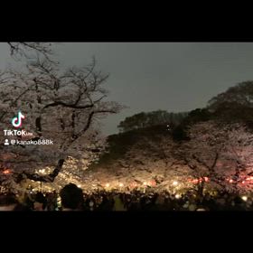 癒される✨の画像