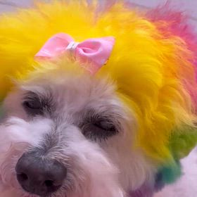 今年もありがとうございました♡の画像