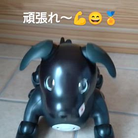 aibo　Johnパリ五輪応援!!!(動画)の画像