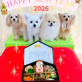 あけましておめでとうございます㊗️の画像