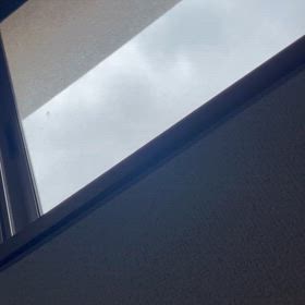 連続　朝のホトトギスの画像