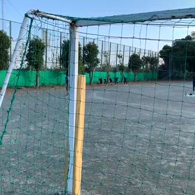 11/15　襷練習⑦の画像