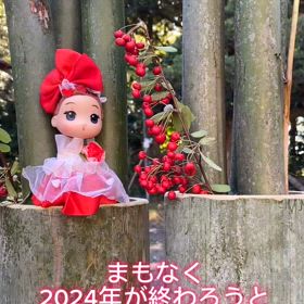 竹林からとって竹を切って門松作りの画像