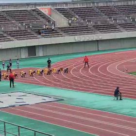 ６年男子100mの画像