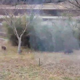 夜の遭遇の画像